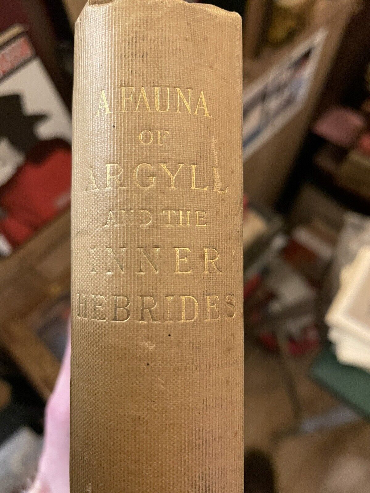 1892 Vertebrate Fauna of Argyll and the Inner Hebrides : Harvie-Brown & Buckley