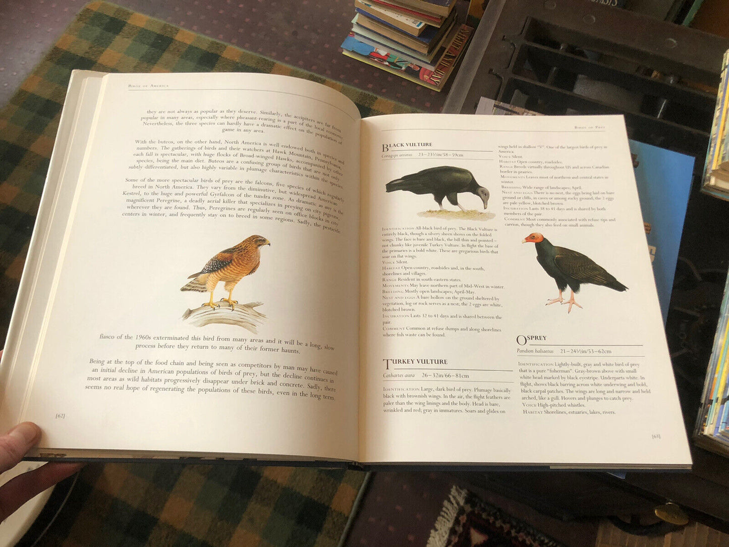 BIRDS OF AMERICA Frank Shaw : 520 Species Featured ORNITHOLOGICAL ARTISTS