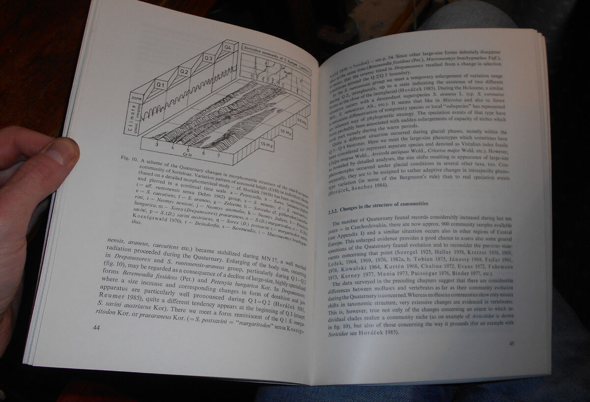 Palaeozoology and the Mid-European Quaternary Past - Palaeontology