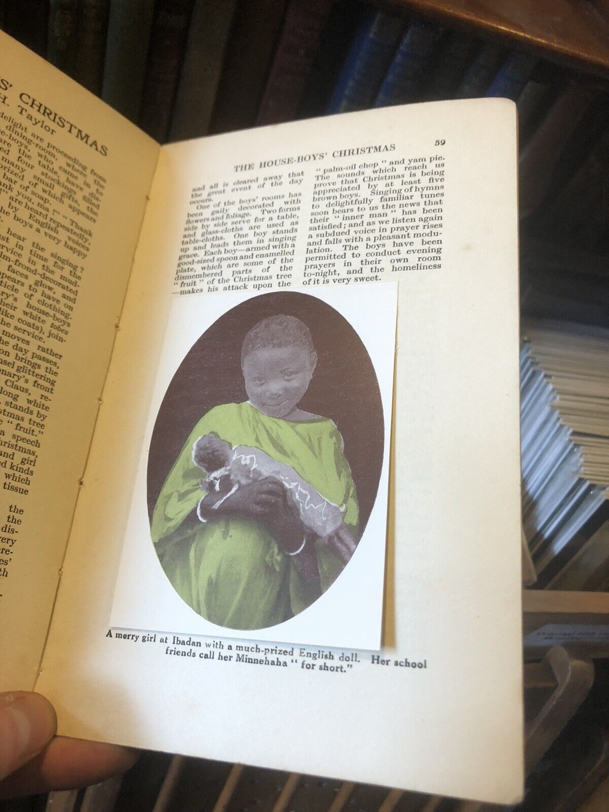 1928 Tales from the African Jungle : Soldier Ants : Mangrove Swamps Africa