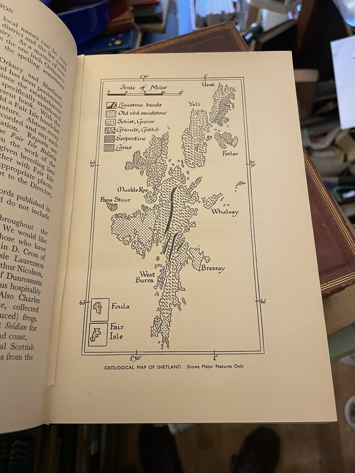 Birds and Mammals of Shetland : Venables : Natural History Scotland 1955