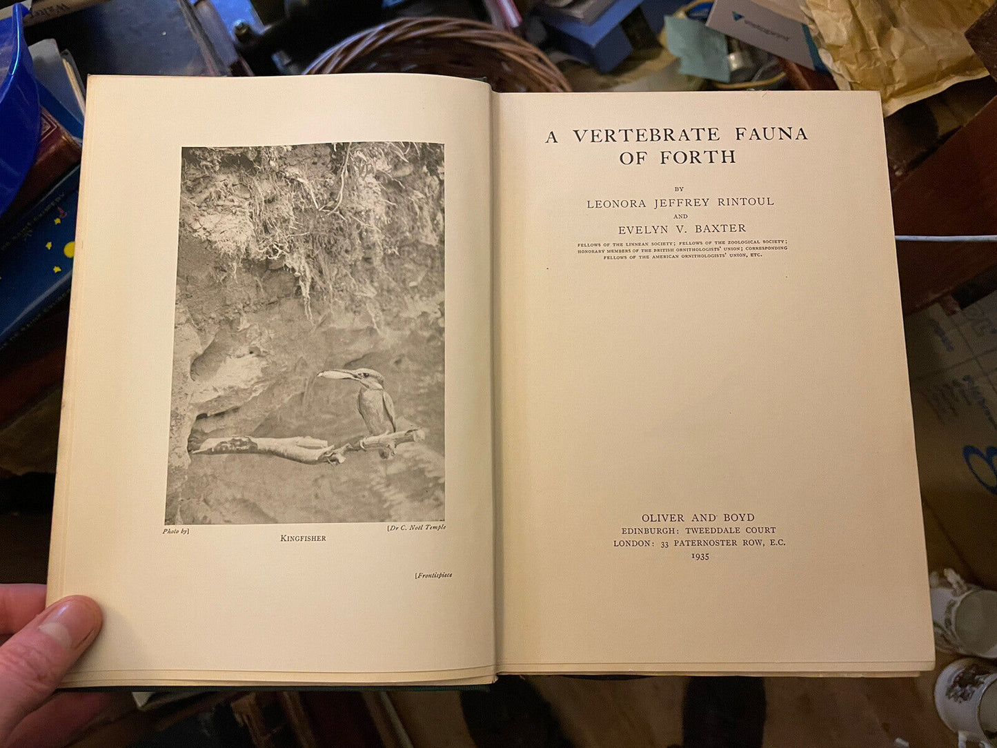 1935 A Vertebrate Fauna of Forth : Rintoul & Baxter : Bird Migration : Fishes