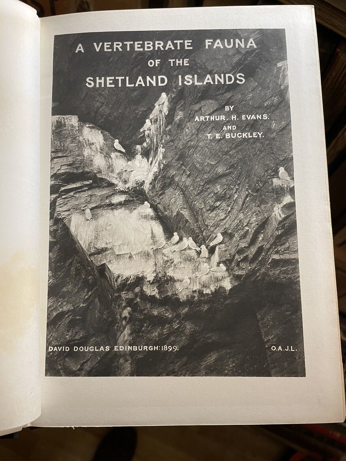 1899 A Vertebrate Fauna of the Shetland Islands : Evans & Buckley : Eric Simms