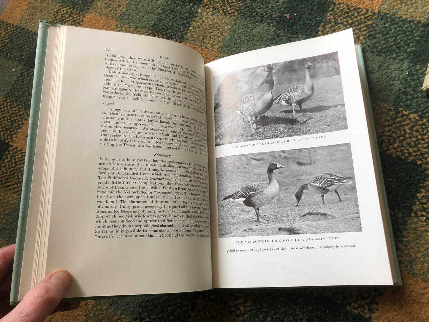 1939 Distribution of Wild Geese and Wild Duck in Scotland (2 vols) Ornithology