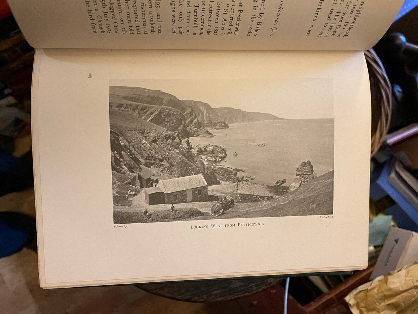1935 A Vertebrate Fauna of Forth : Rintoul & Baxter : Bird Migration : Fishes