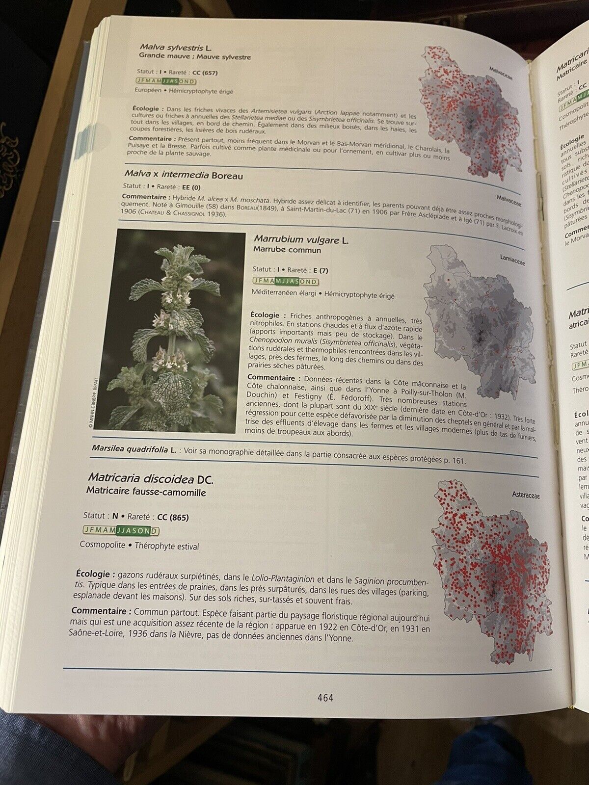 ATLAS DE LA FLORE SAUVAGE DE BOURGOGNE French Botany FLORA Plants