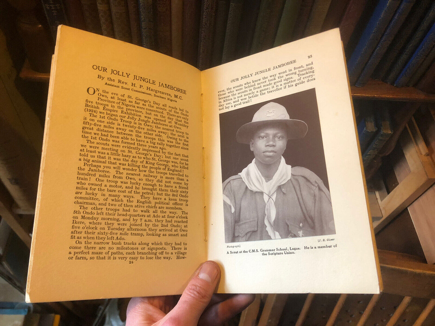 1928 Tales from the African Jungle : Soldier Ants : Mangrove Swamps Africa