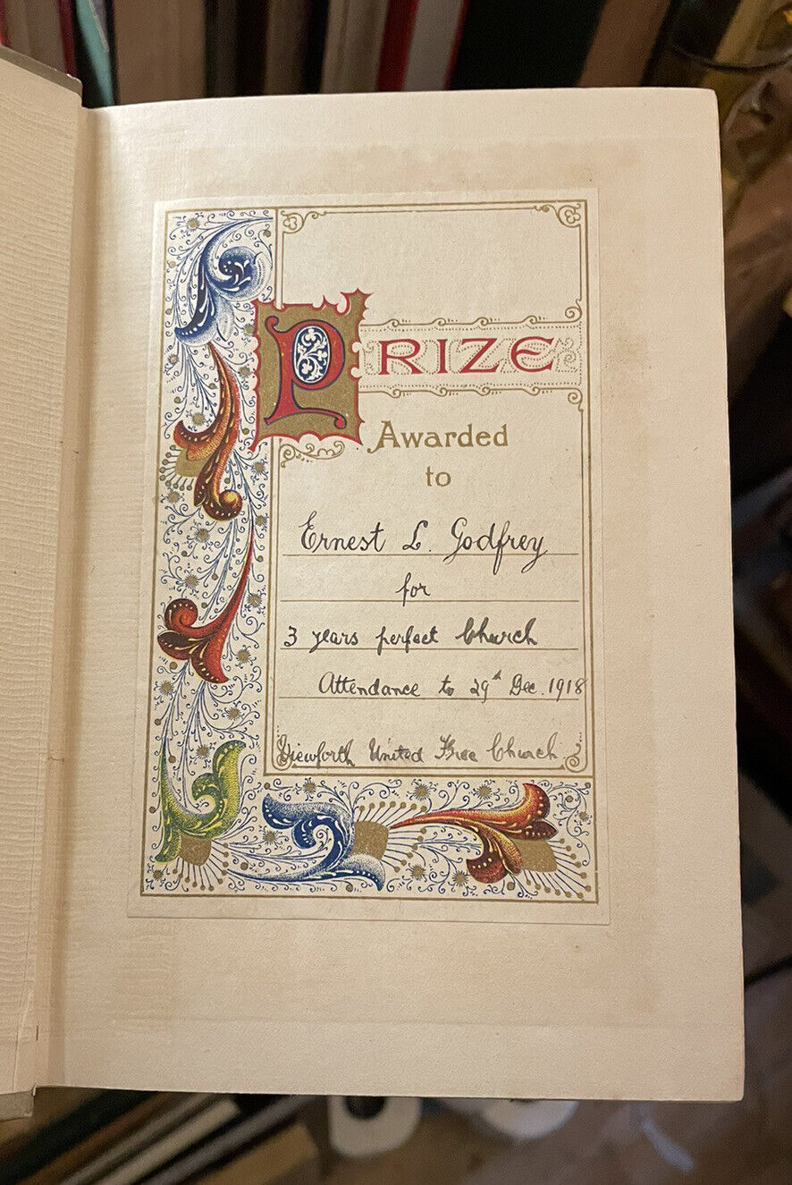 GODFREY MORGAN by JULES VERNE Illustrated Pictorial Cloth Binding 1918