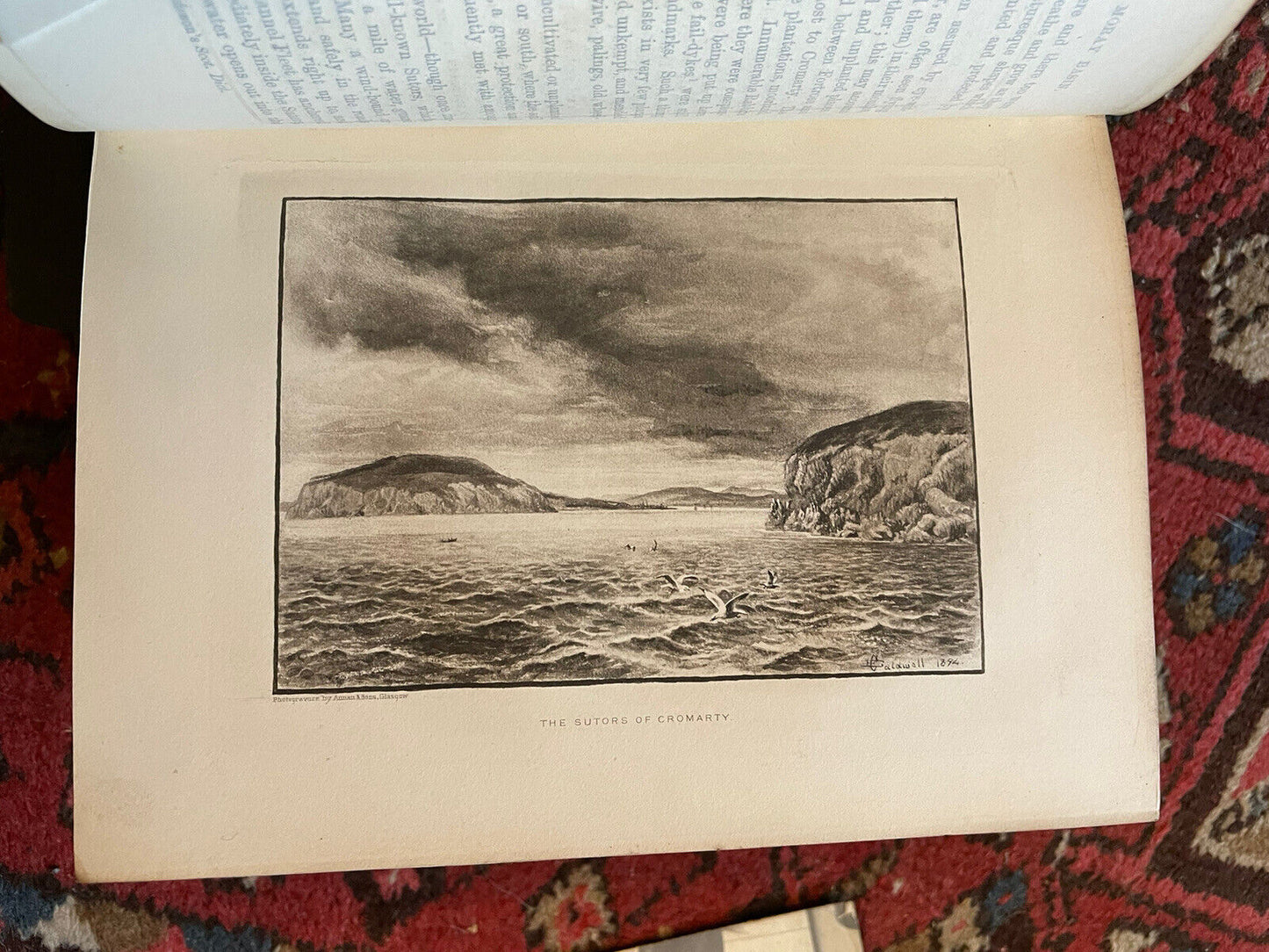 1895 A Fauna of the Moray Basin : Harvie-Brown & Buckley : Scotland Nature