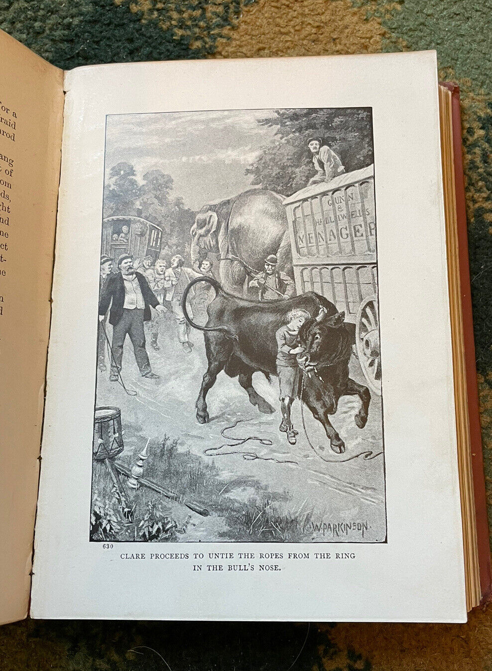 1891 George Macdonald : A Rough Shaking : First Edition Illustrated