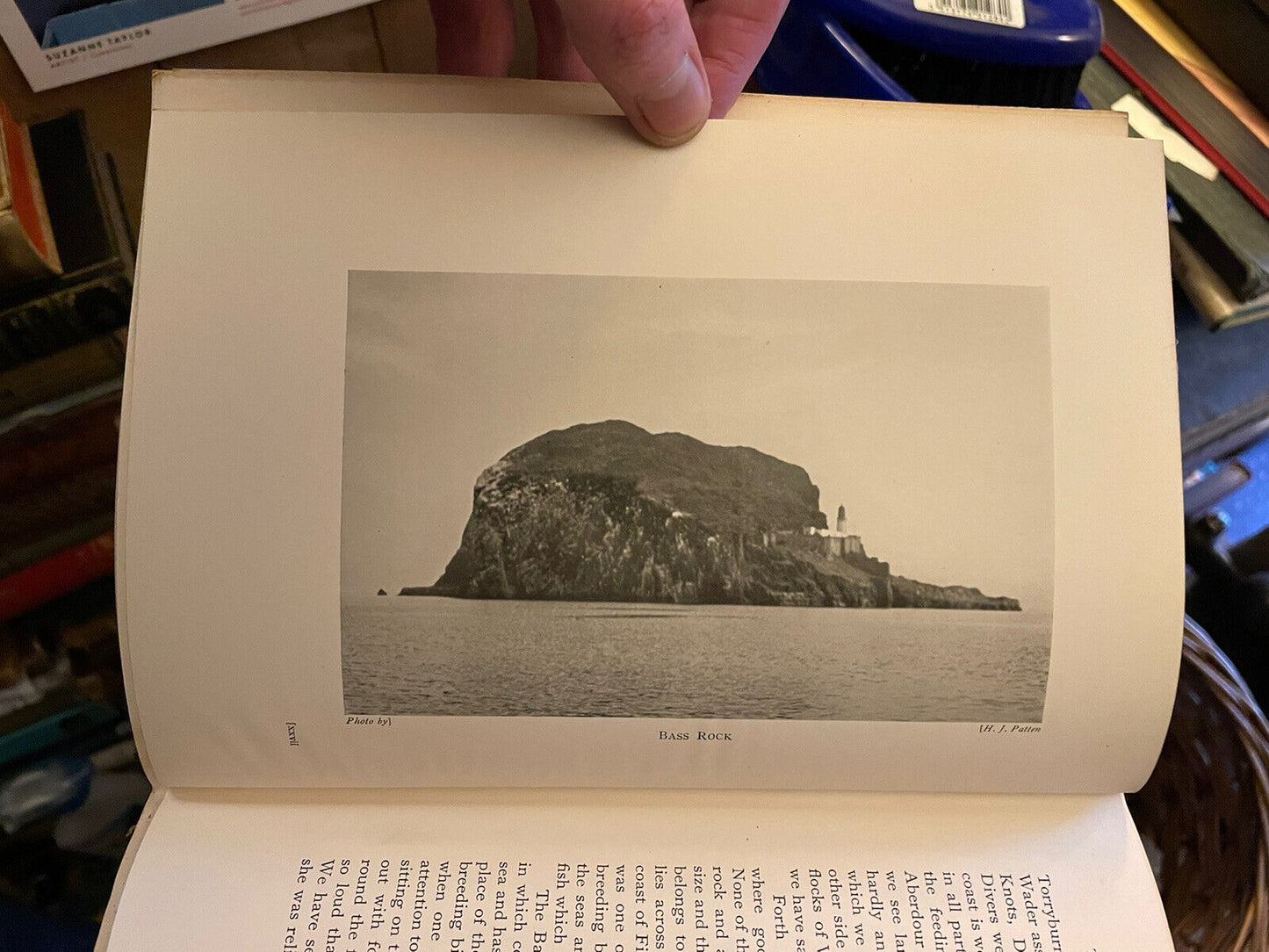 1935 A Vertebrate Fauna of Forth : Rintoul & Baxter : Bird Migration : Fishes
