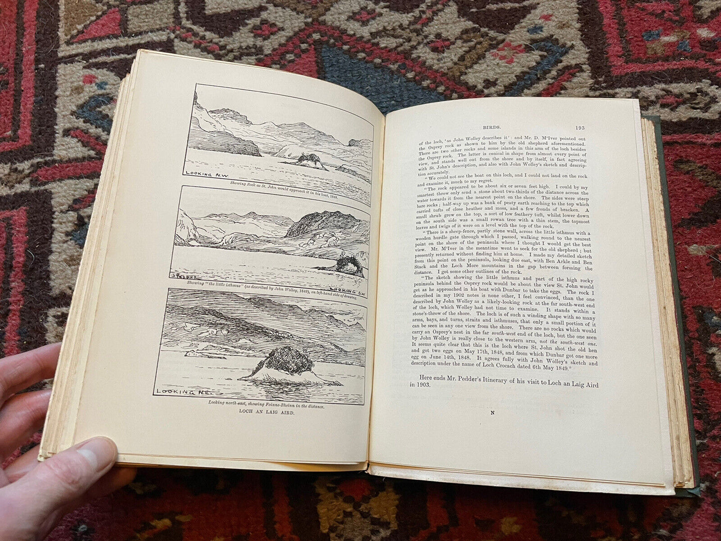 1904 A Fauna of the North-West Highlands & Skye : Harvie-Brown & Macpherson