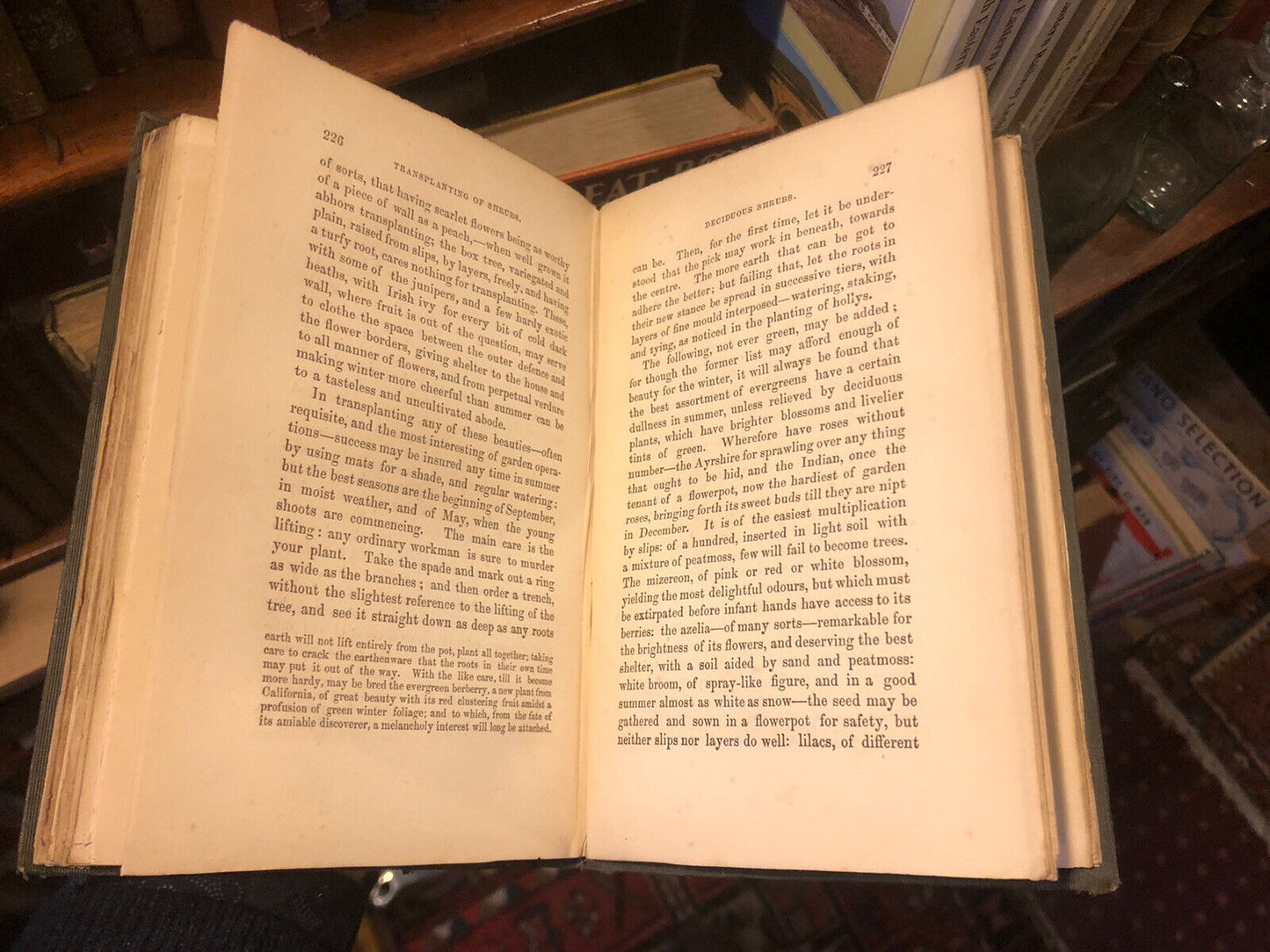1836 THE MANSE GARDEN by Nathaniel Paterson EARLY ARISTOCRATIC GARDENING BOOK
