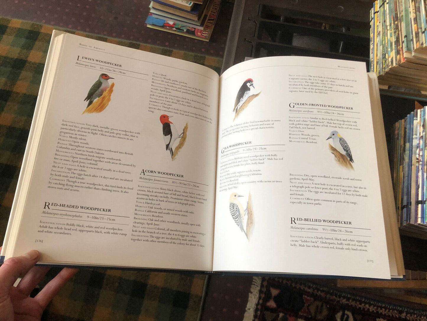 BIRDS OF AMERICA Frank Shaw : 520 Species Featured ORNITHOLOGICAL ARTISTS