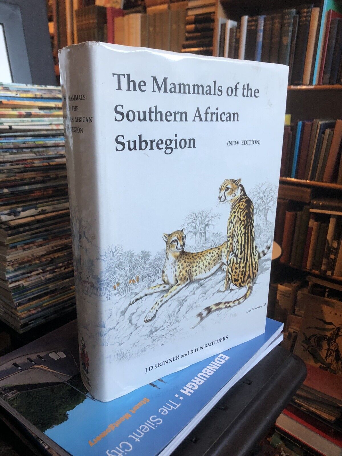 Mammals of the Southern African Subregion : Africa Natural History : Skinner