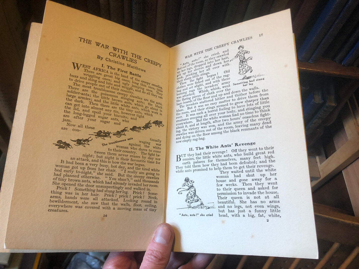 1928 Tales from the African Jungle : Soldier Ants : Mangrove Swamps Africa