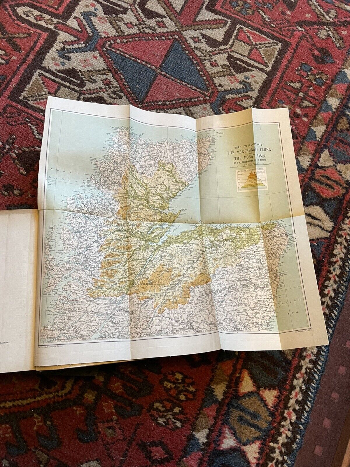 1895 A Fauna of the Moray Basin : Harvie-Brown & Buckley : Scotland Nature