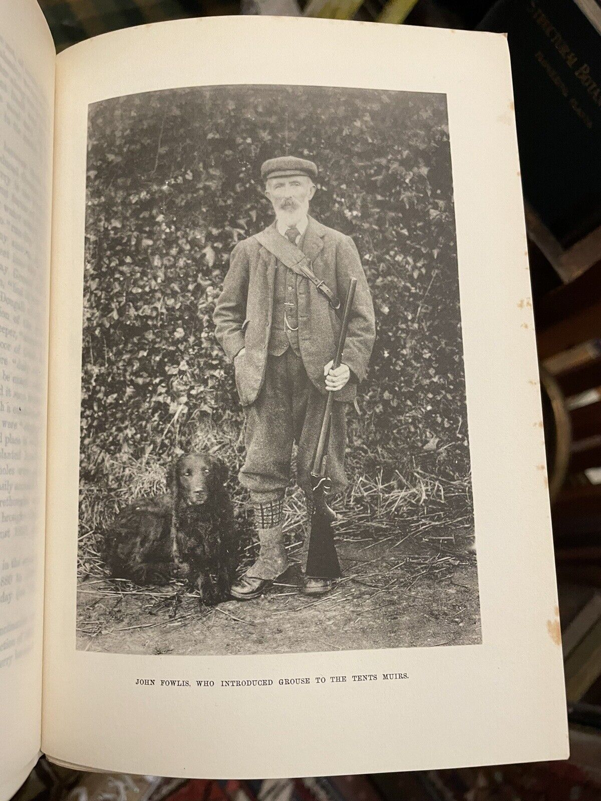 A Fauna of the Tay Basin & Strathmore : Harvie-Brown : Scotland Natural History