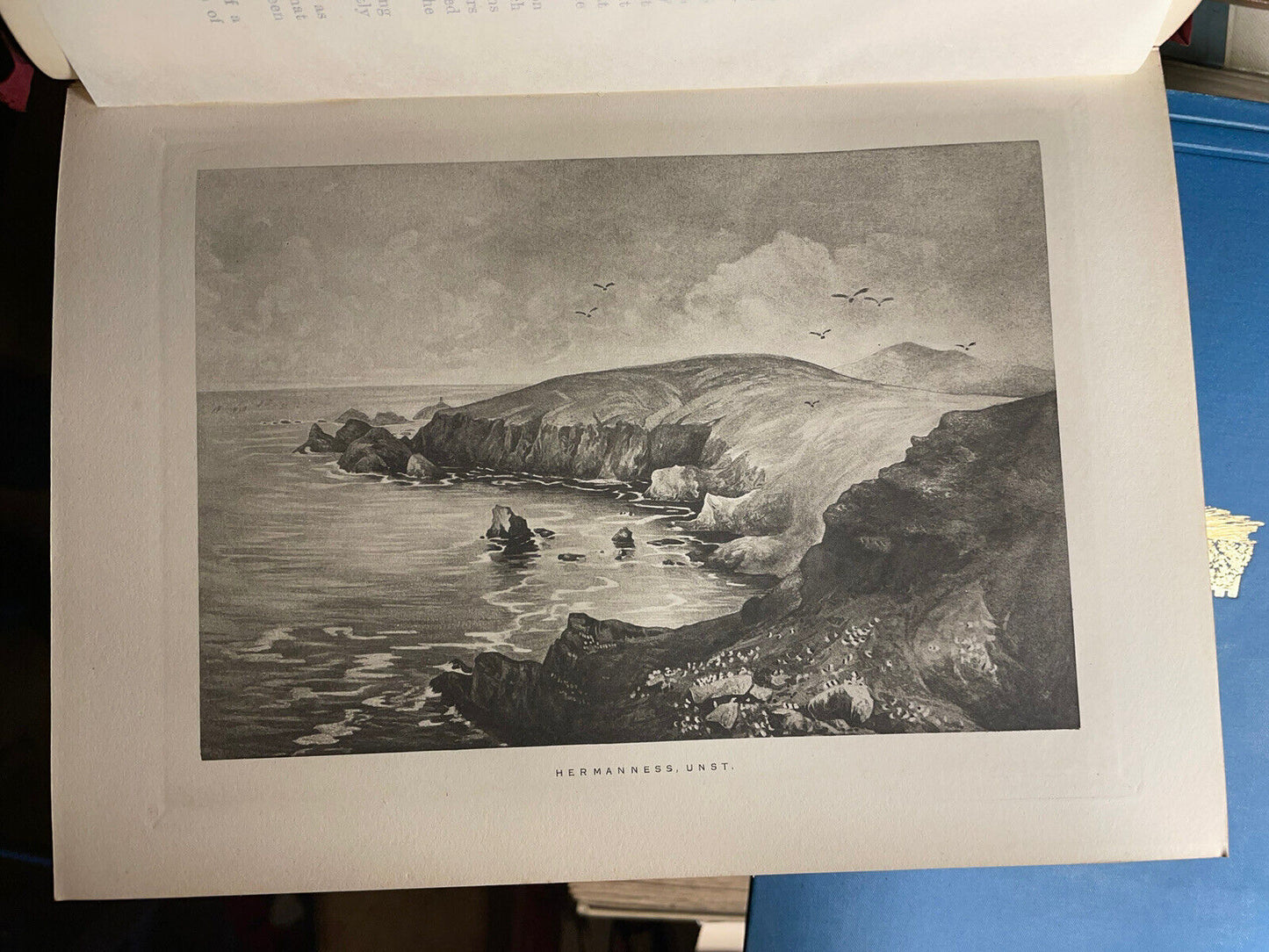 1899 A Vertebrate Fauna of the Shetland Islands : Evans & Buckley : Eric Simms