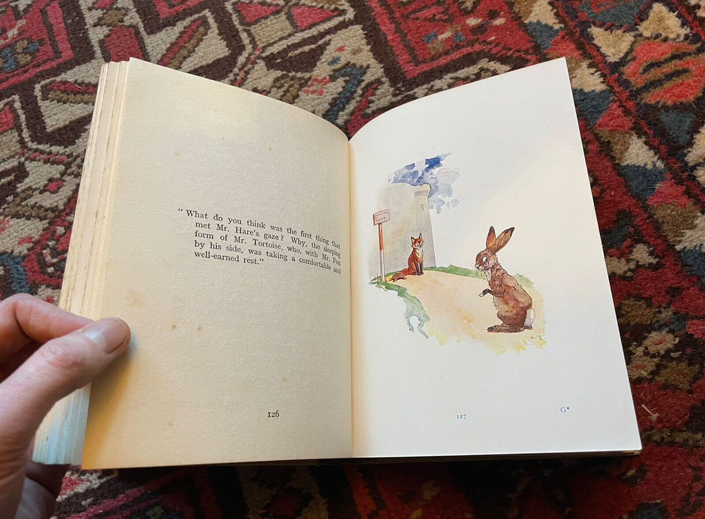AESOP'S FABLES : 48 Colour Illustrations : HARRY ROUNTREE : Ward Lock c1920s