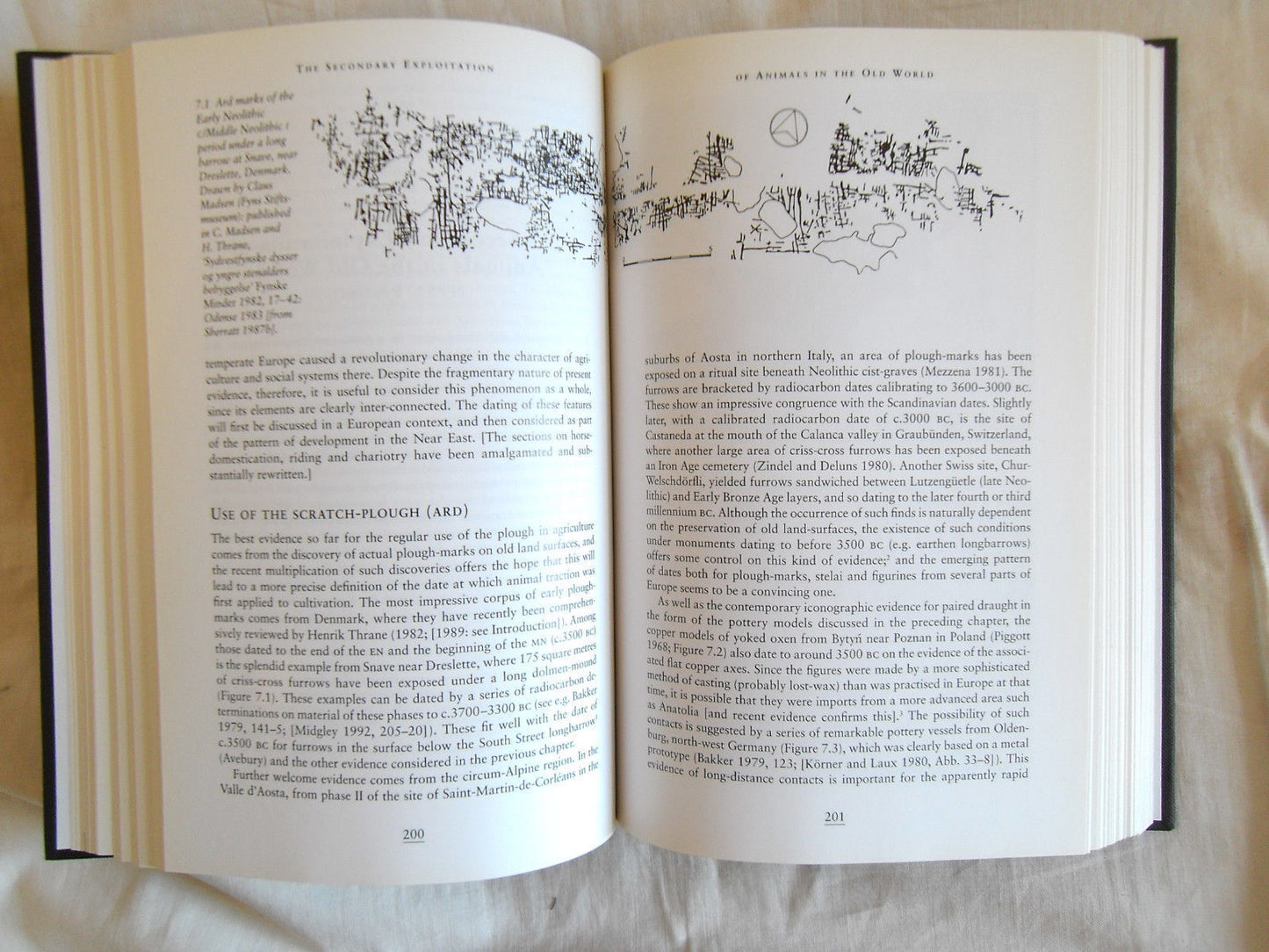 Economy and Society in Prehistoric Europe - Andrew Sherratt - Economics 1997