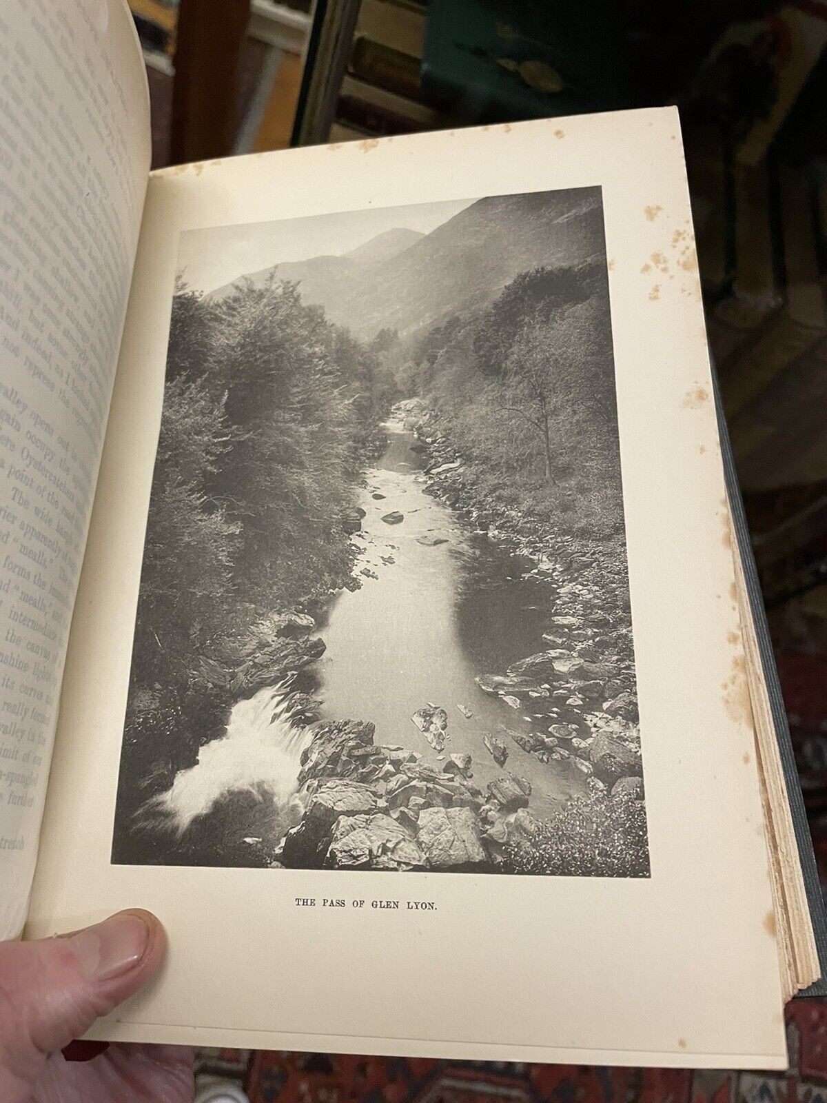 A Fauna of the Tay Basin & Strathmore : Harvie-Brown : Scotland Natural History