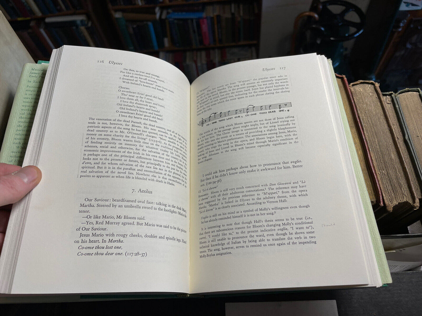 Musical Allusions in the Works of James Joyce: Early Poetry through Ulysses 1975