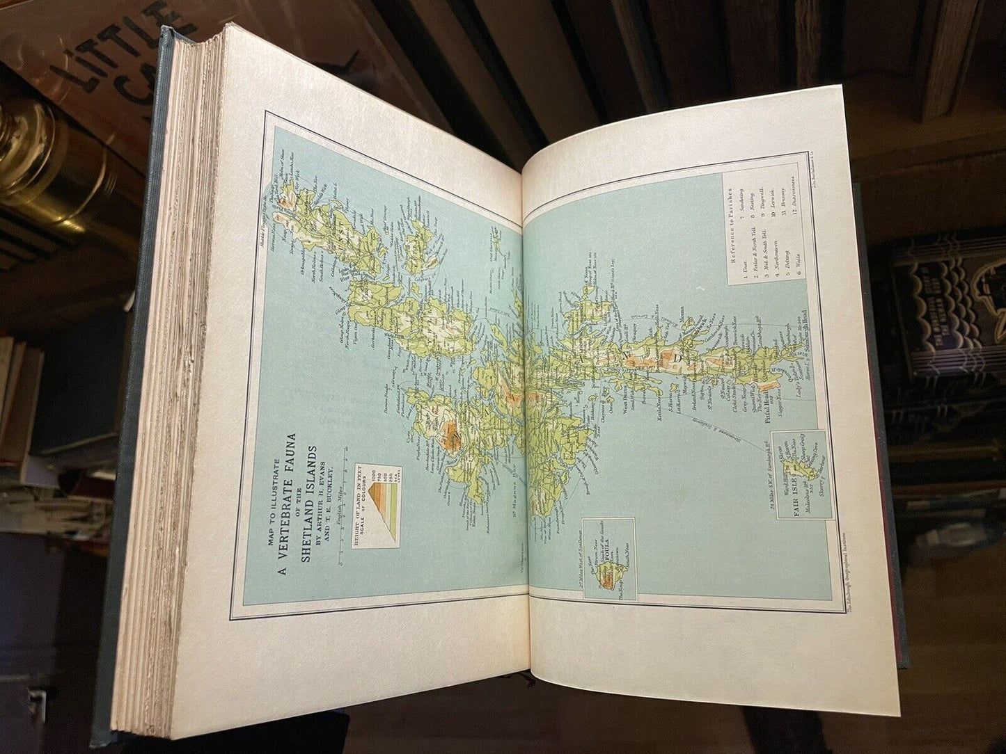 1899 A Vertebrate Fauna of the Shetland Islands : Evans & Buckley : Eric Simms