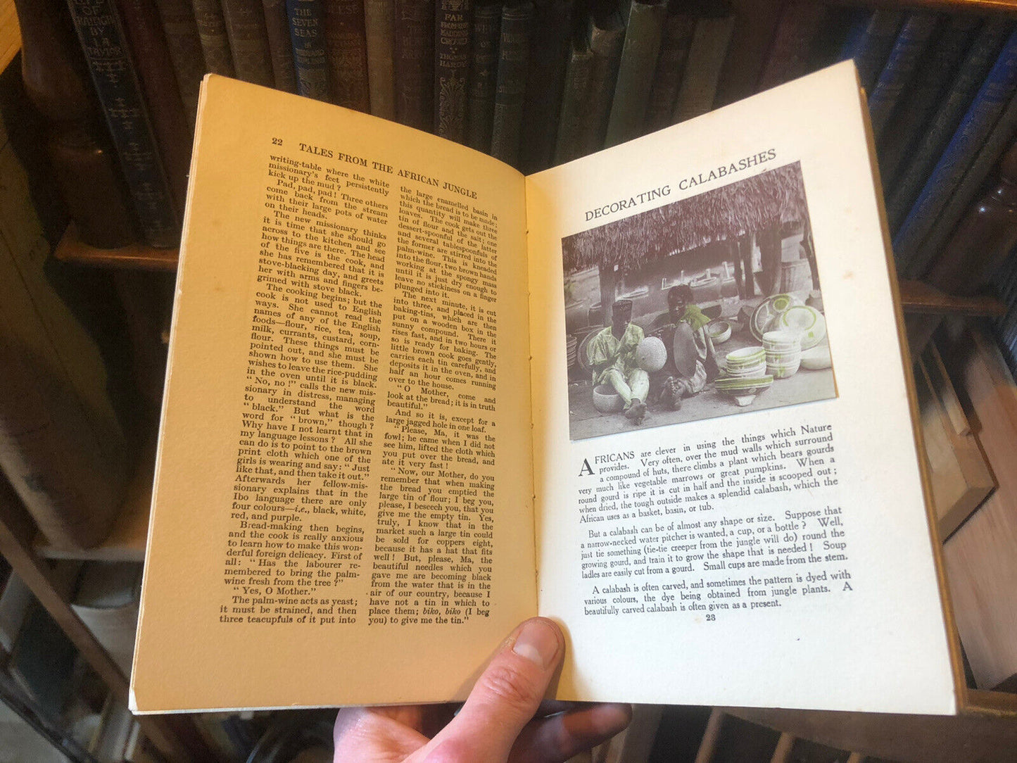 1928 Tales from the African Jungle : Soldier Ants : Mangrove Swamps Africa