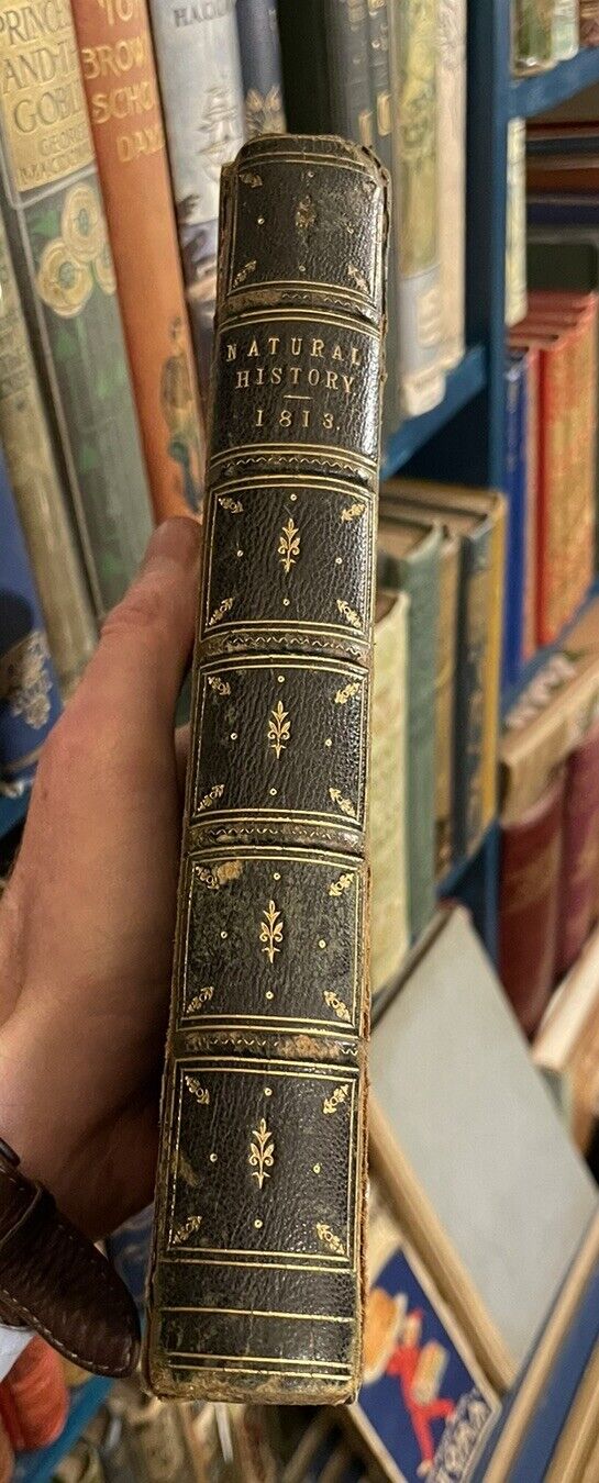 1813 A Complete Natural History : Thomas Bewick : Wood Engravings