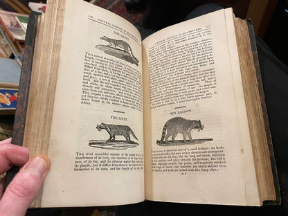 1813 A Complete Natural History : Thomas Bewick : Wood Engravings