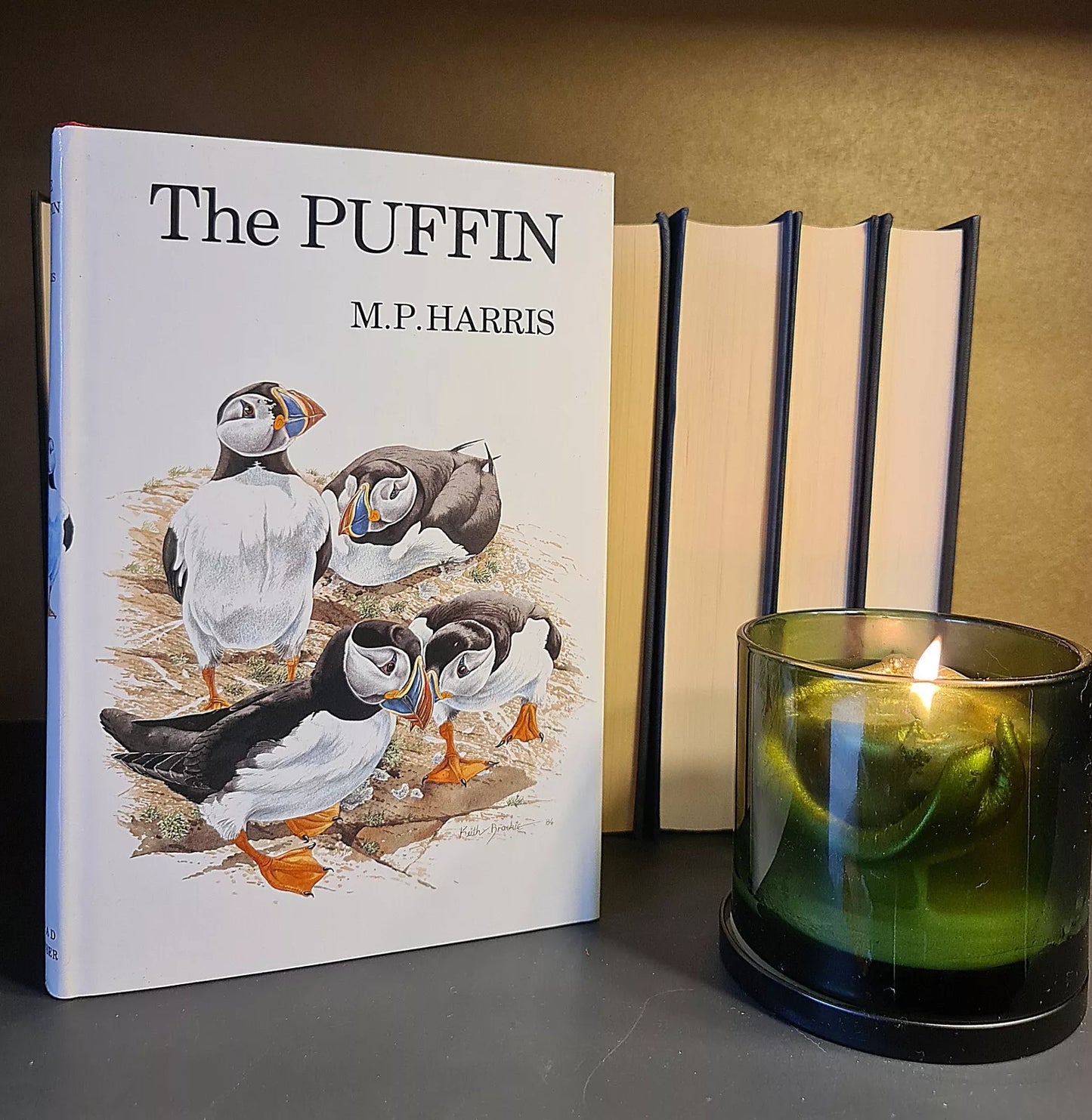 The Puffin, M.P. Harris: Hardback: First Reprint: Seabirds: Ornithology