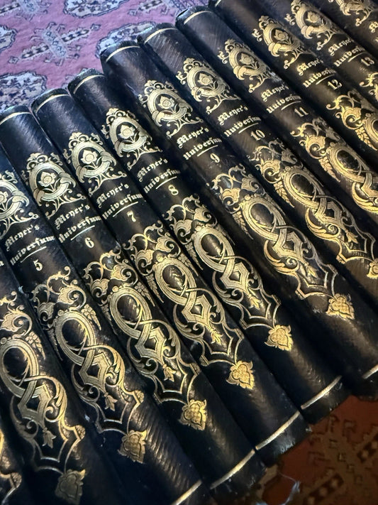 1833 Meyer's Universum (20 Volumes) 950 Steel Engravings : Exploration Geography