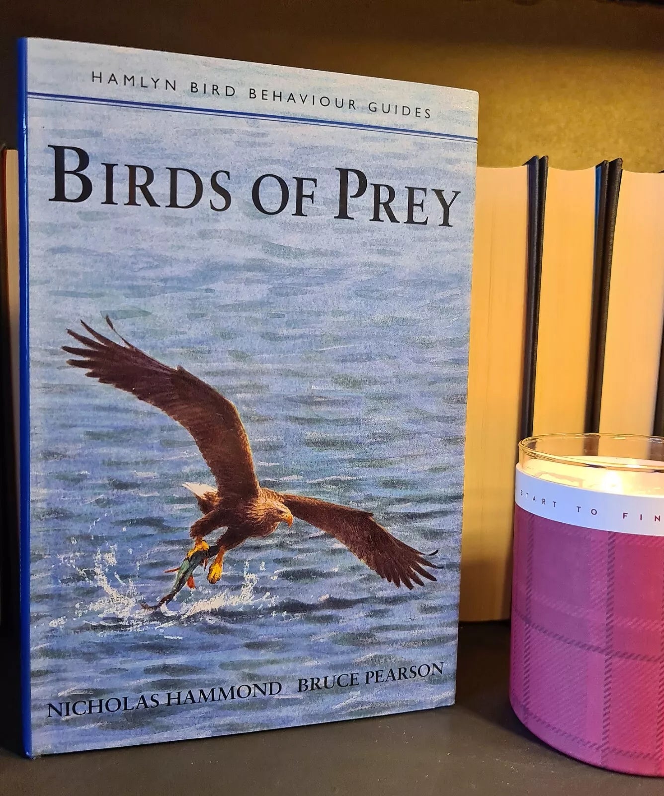 Birds of Prey, Hammond & Pearson: H/B: 1st Edition: Ornithology: Bird Behaviour