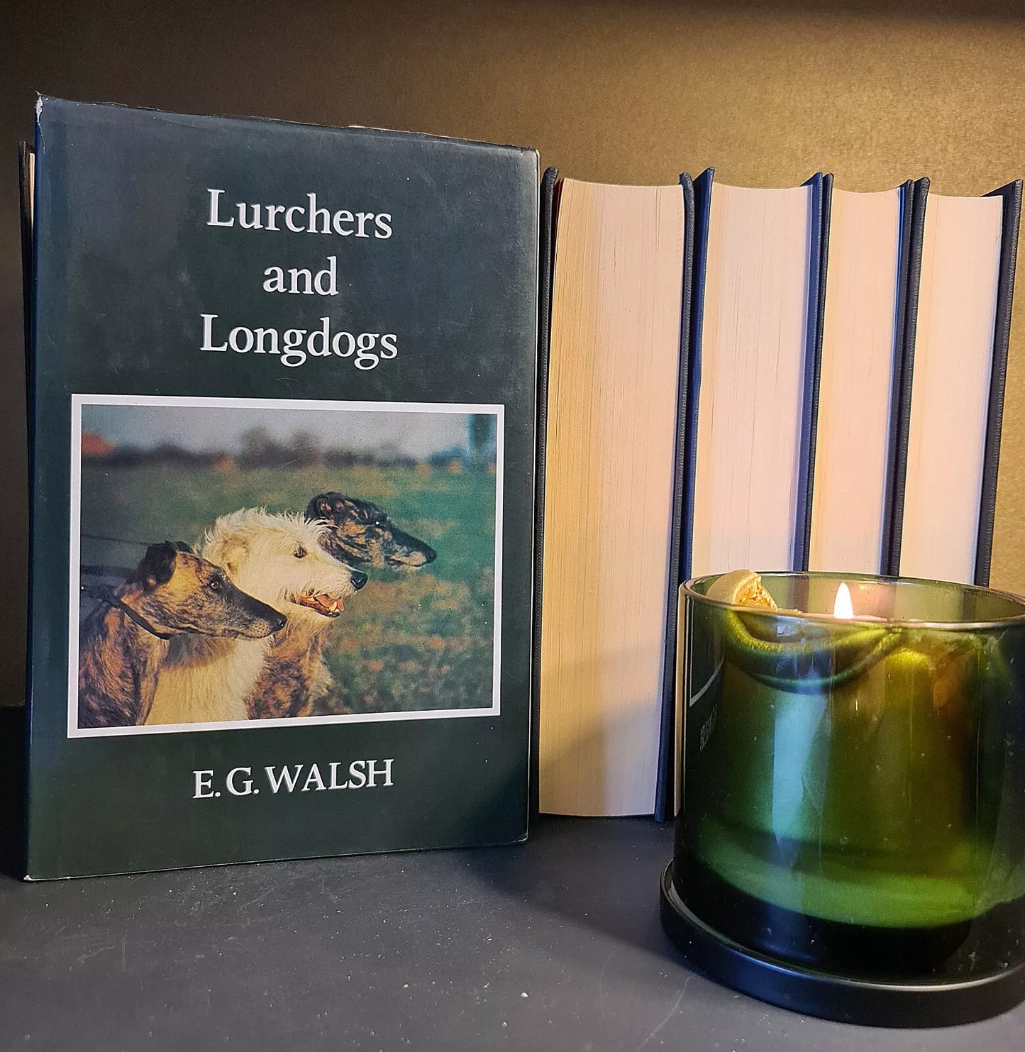 Lurchers & Longdogs, E. G. Walsh: Hardback: 1988: Country Sports: Dog Breeds