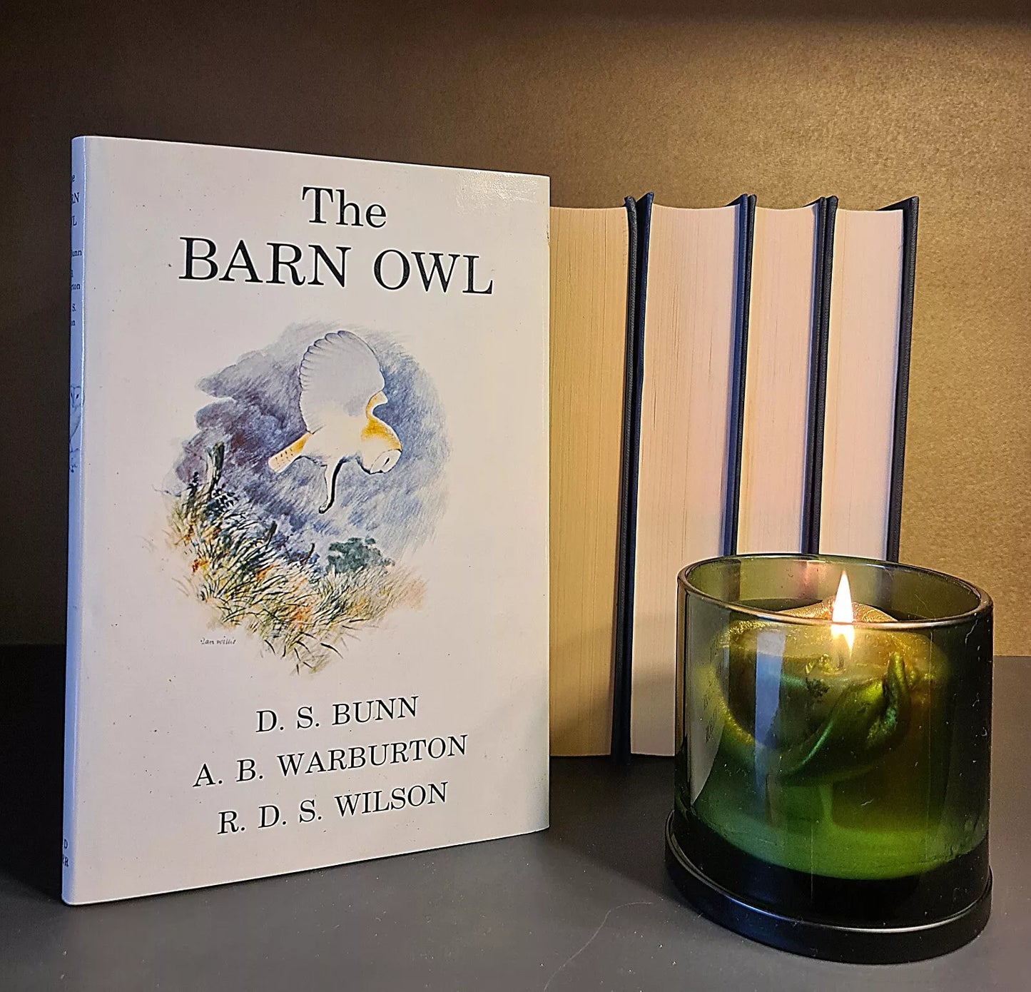 The Barn Owl: Bunn, Warburton, Wilson: Hardback: First Edition: Ornithology