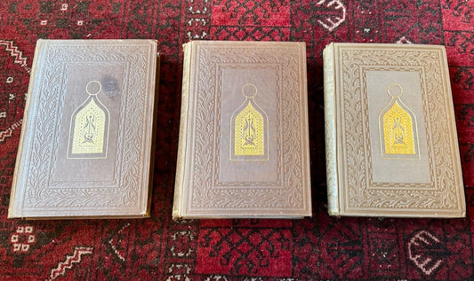 1858 The Stones of Venice : John Ruskin (3 Vols) Illustrated : 2nd Edition