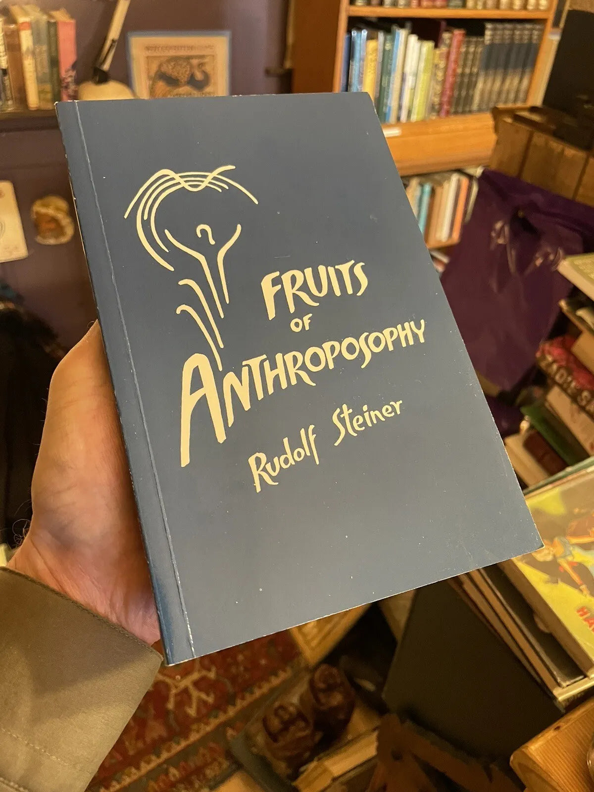 Rudolf Steiner : Fruits of Anthroposophy : 1st Edition 1986