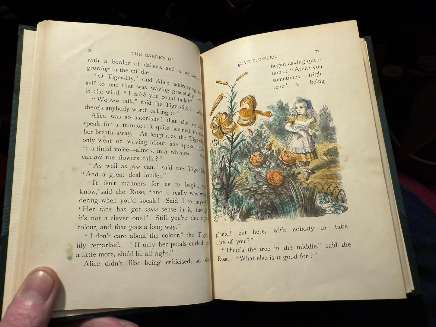 Lewis Carroll Alice's Adventures In Wonderland & Looking Glass Fine Binding 1896