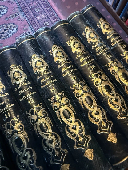 1833 Meyer's Universum (20 Volumes) 950 Steel Engravings : Exploration Geography