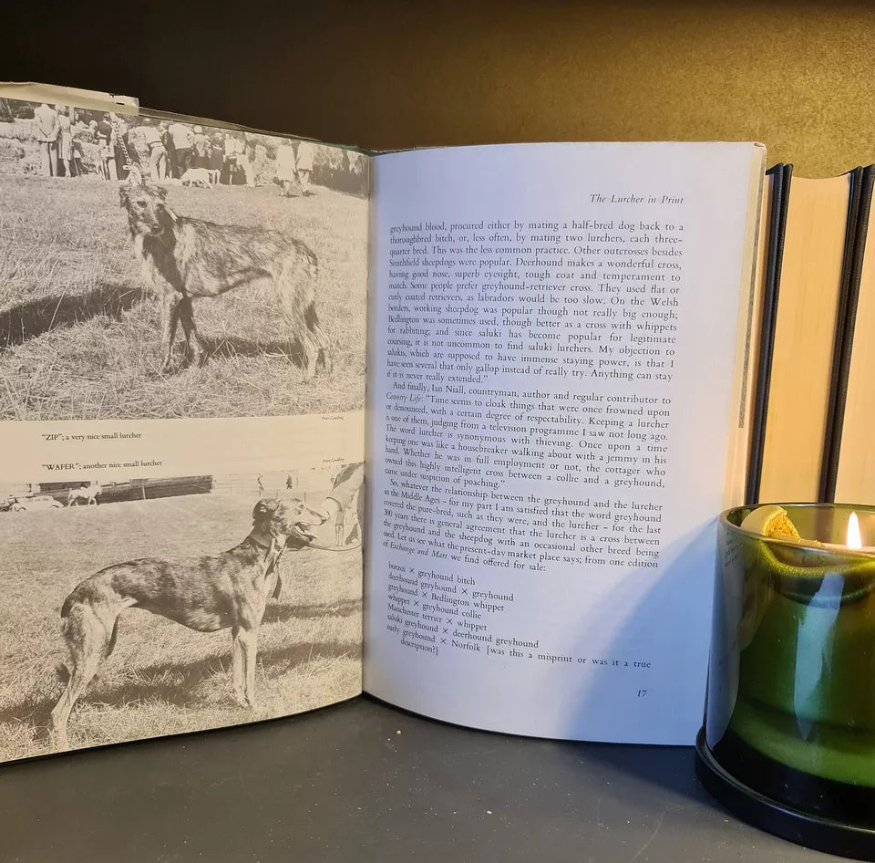 Lurchers & Longdogs, E. G. Walsh: Hardback: 1988: Country Sports: Dog Breeds