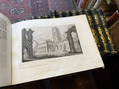 1833 Meyer's Universum (20 Volumes) 950 Steel Engravings : Exploration Geography