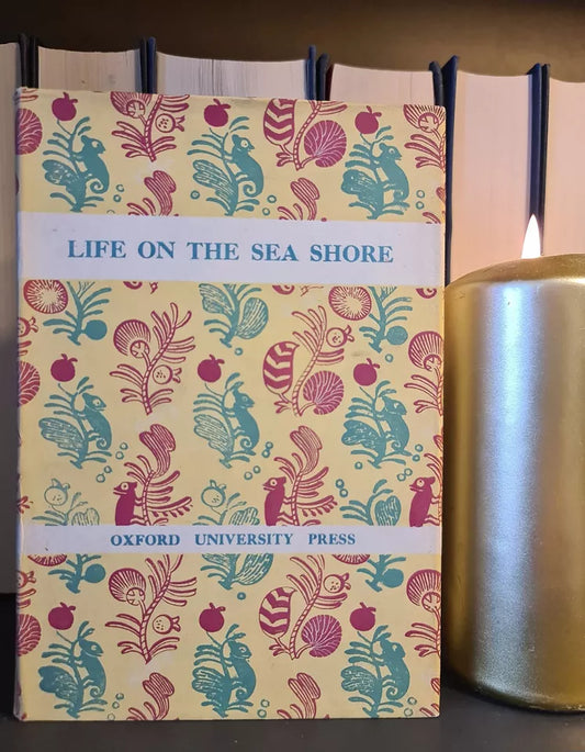 Life on the Sea Shore, E.A.R. Ennion: Hardback: 1st Edition