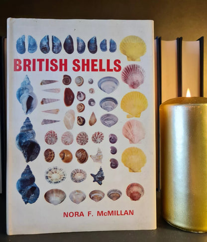 British Shells, N. F. McMillan: Hardback: Conchology