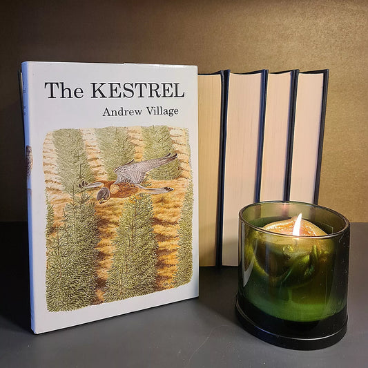 The Kestrel, A. Village: Hardback: First Edition: Scottish Wildlife: Ornithology