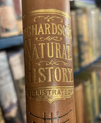 c1860 Richardson's Natural History : Animated Nature : Profusely Illustrated