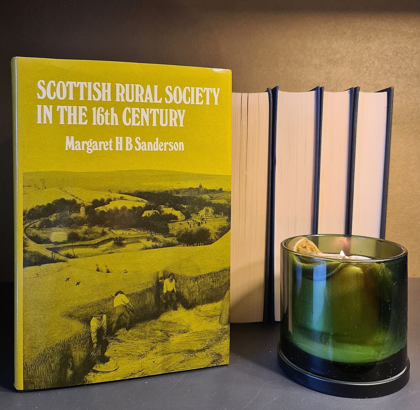 Scottish Rural Society in the 16th Century, M. Sanderson: Hardback: 1st Edition