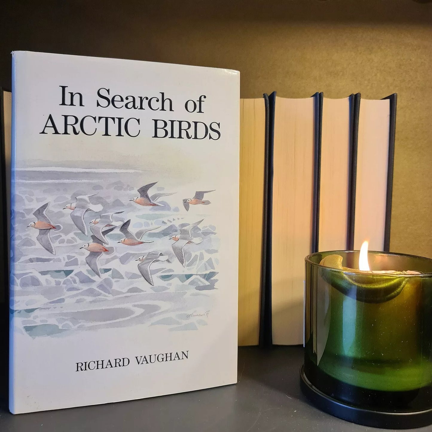 In Search of Arctic Birds, R. Vaughan: Hardback: 1st Edition: Ornithology