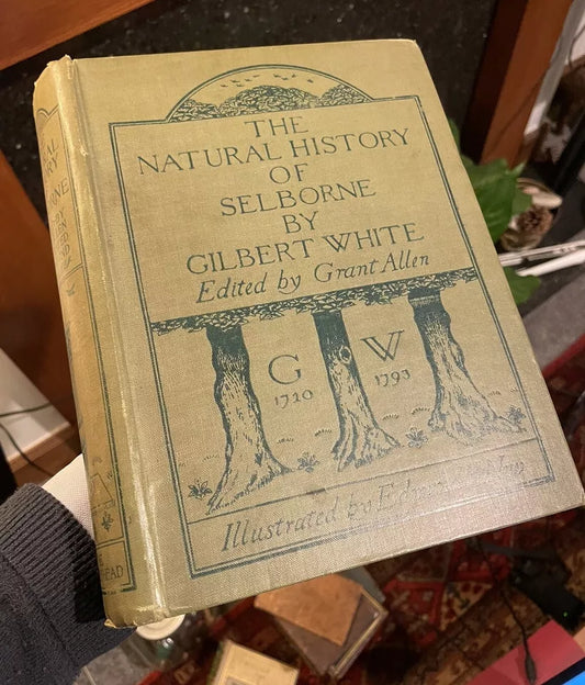 1900 Gilbert White : Natural History of Selborne : Illus by Edmund H. New