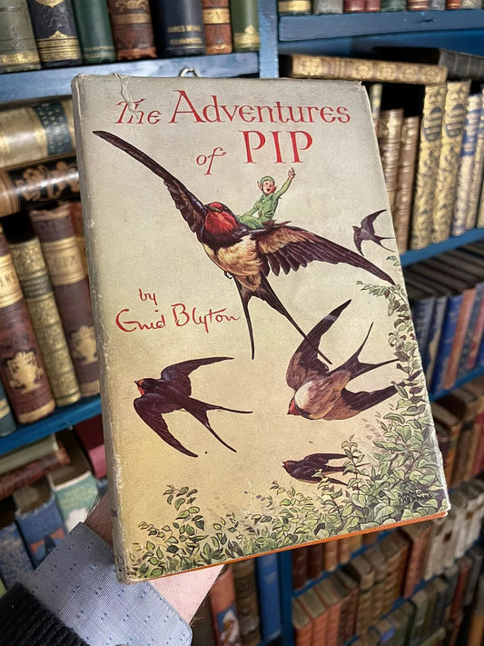 Enid Blyton Book : The Adventures of Pip : First Edition in Dust Jacket 1948